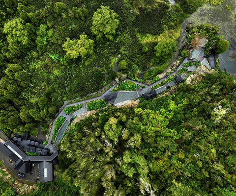 Vista general de piscinas de aguas termales rodeada de plantas naturales en Termas del Sol